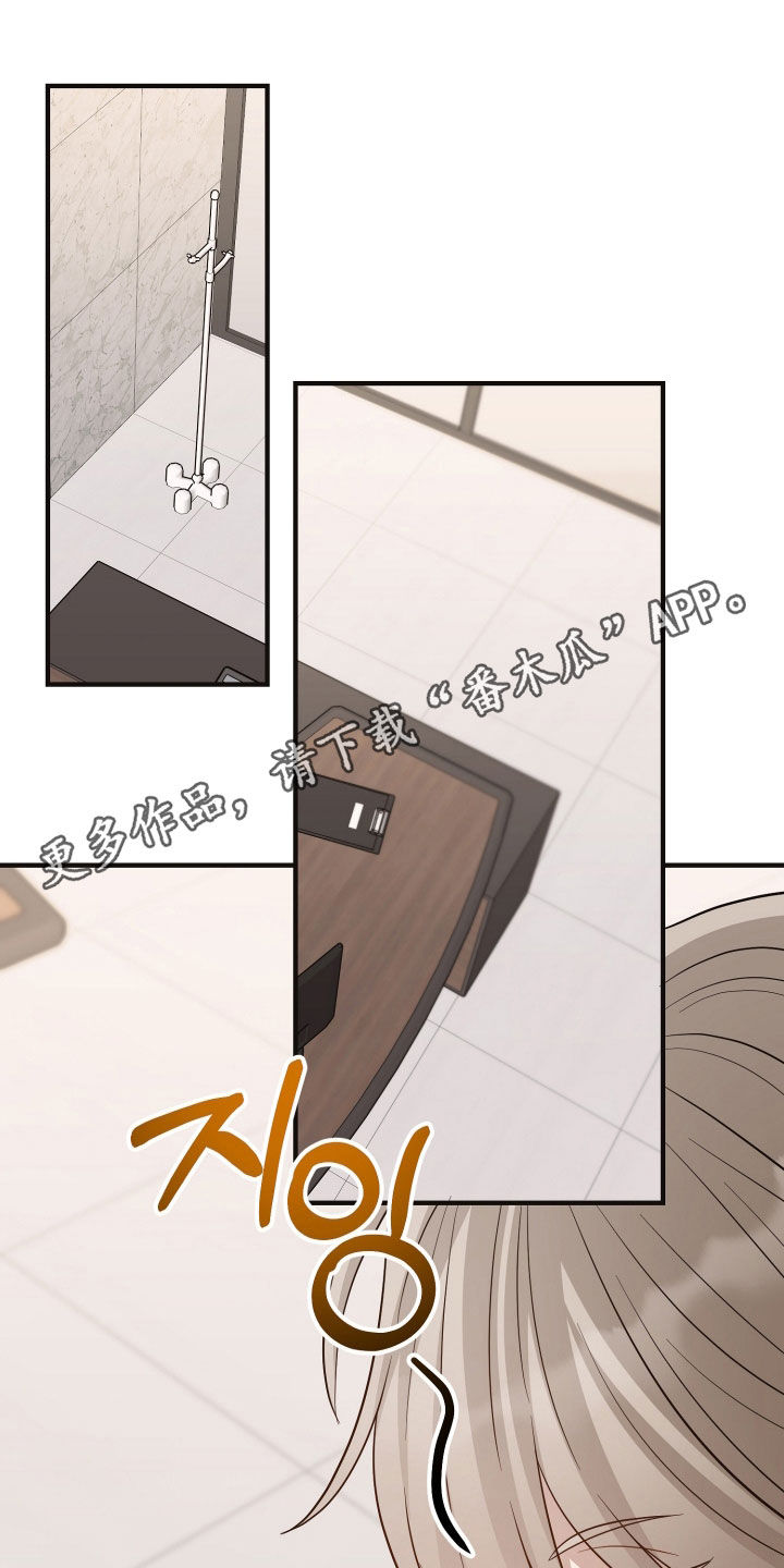 新鲜黄花菜图片大全图片漫画,第51章：采访1图