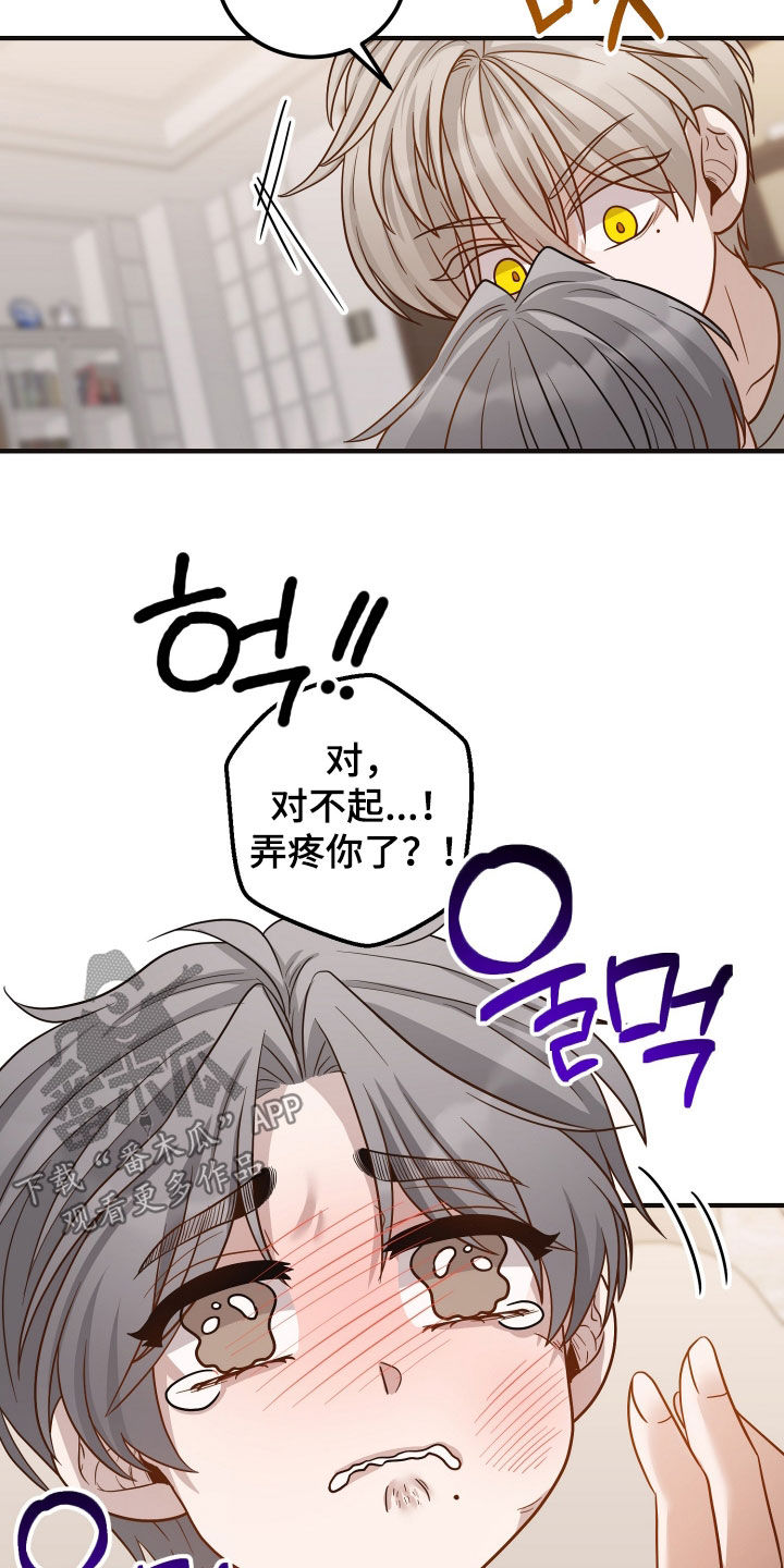 心陷谎言韩漫介绍漫画,第48章：许愿2图