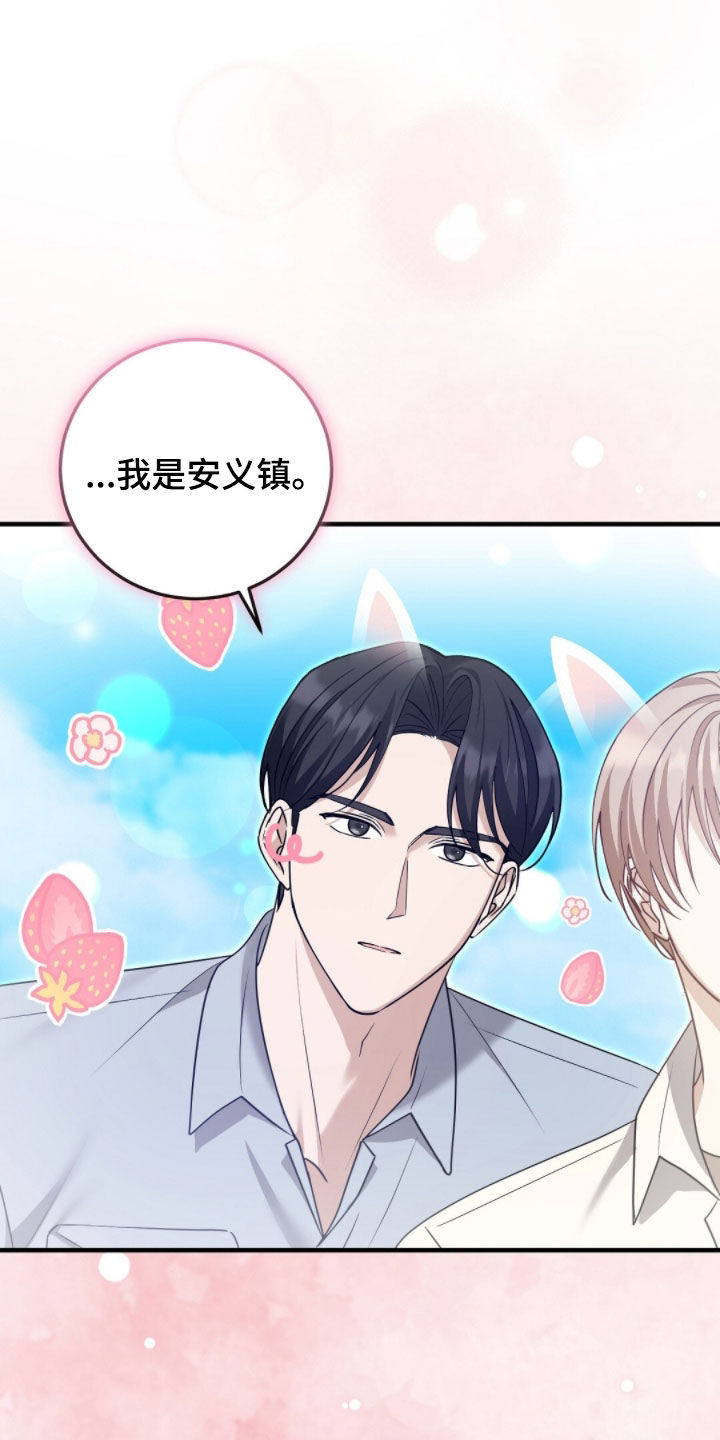 总裁的乌龙恋人角色介绍漫画,第38章：无条件3图