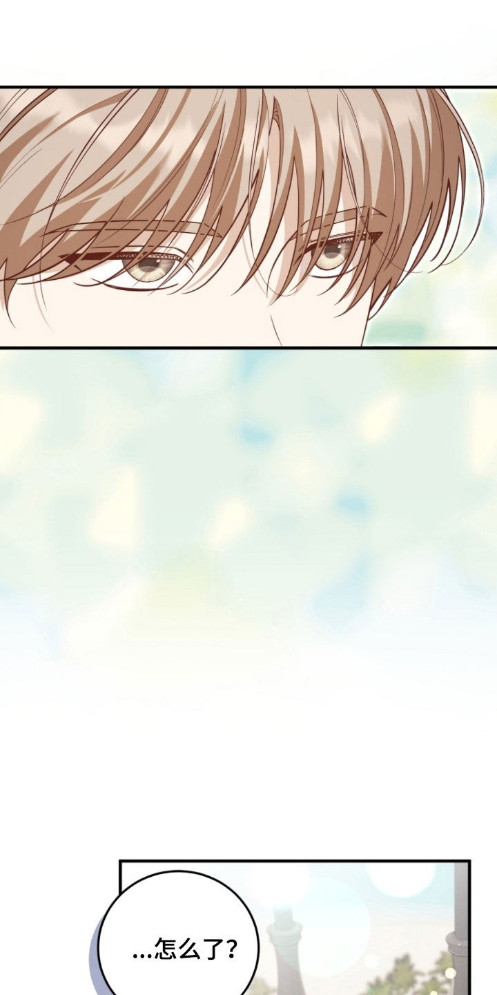 总裁的乌龙恋人漫画,第37章：最高优先级4图