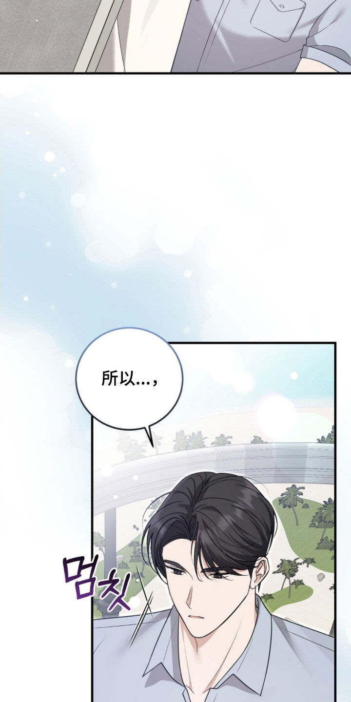 总裁的乌龙恋人情节漫画,第37章：最高优先级5图