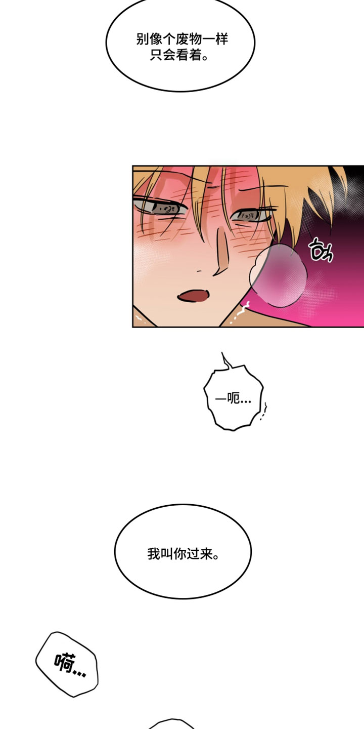 致命选拔漫画剧情看点漫画,第21章：照片2图