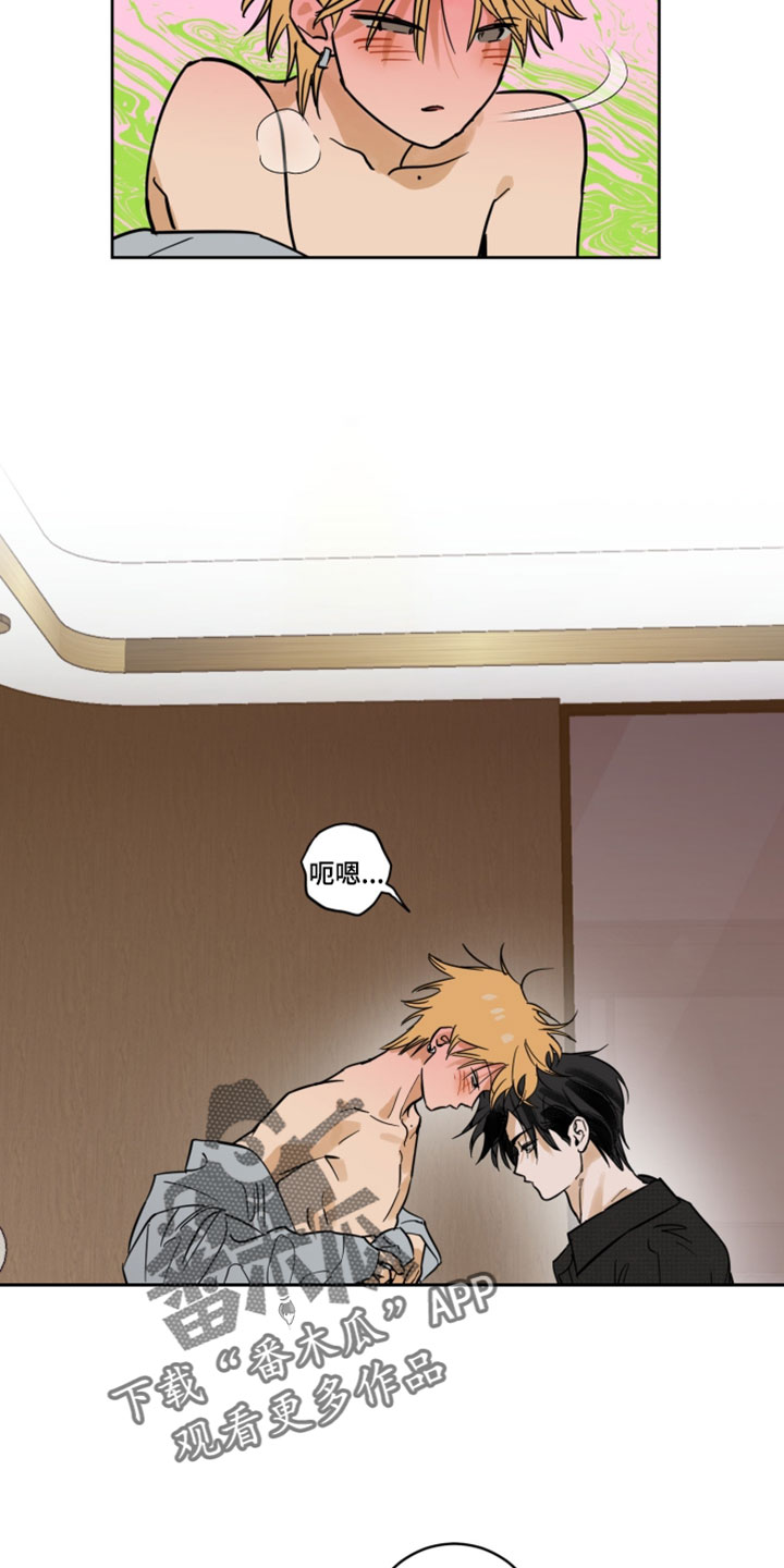 致命选拔漫画剧情看点漫画,第21章：照片5图