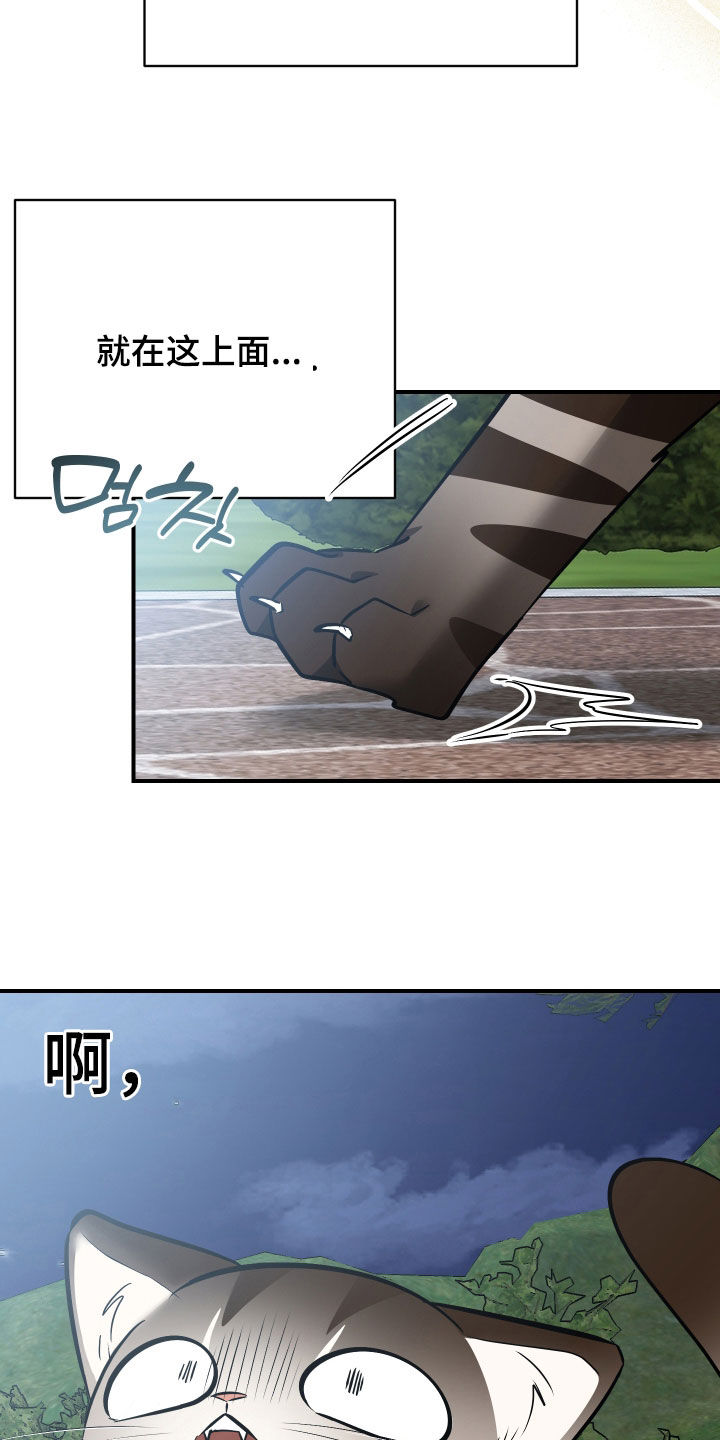 野猫的命定人类漫画,第33章：出糗5图