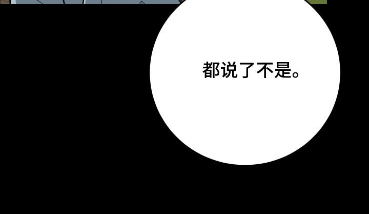 野猫的命定人类小说剧情漫画,第34章：都毁掉了4图