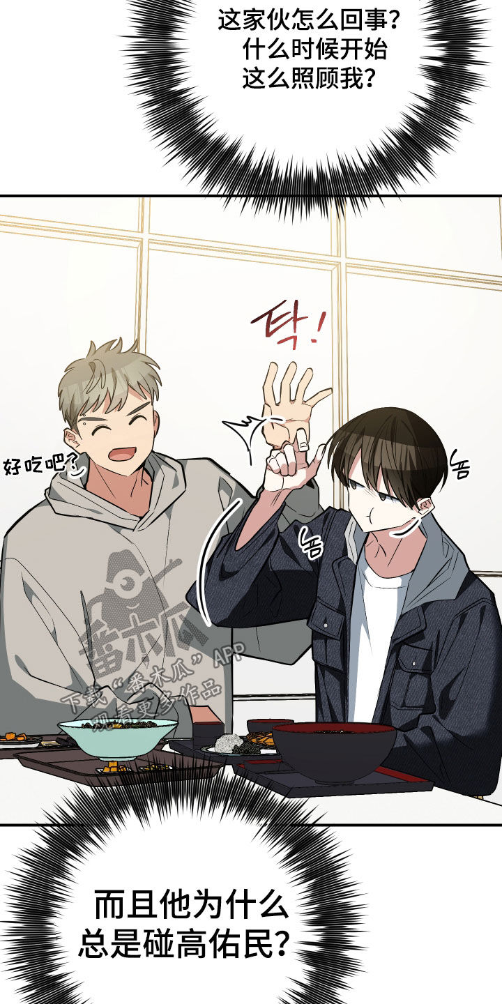 野猫的命定人类漫画,第37章：明争暗斗3图