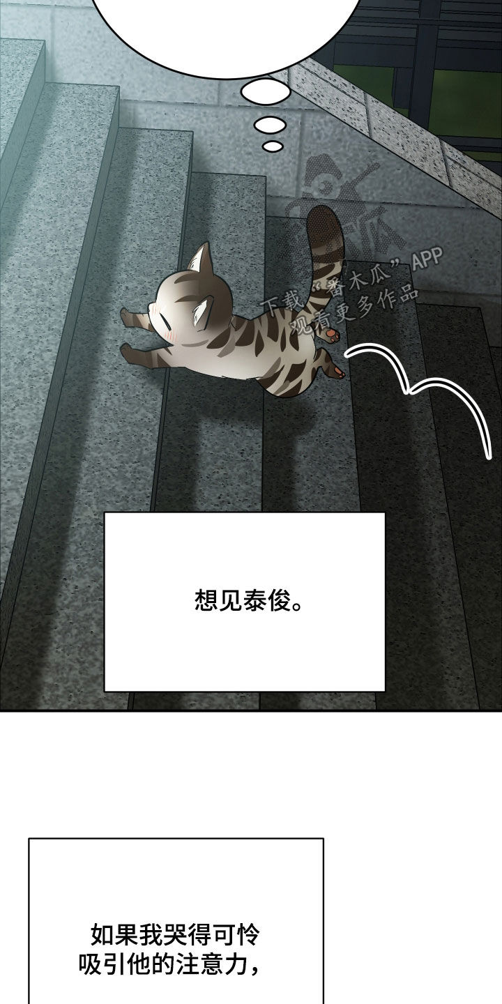 野猫的命定人类漫画,第33章：出糗3图