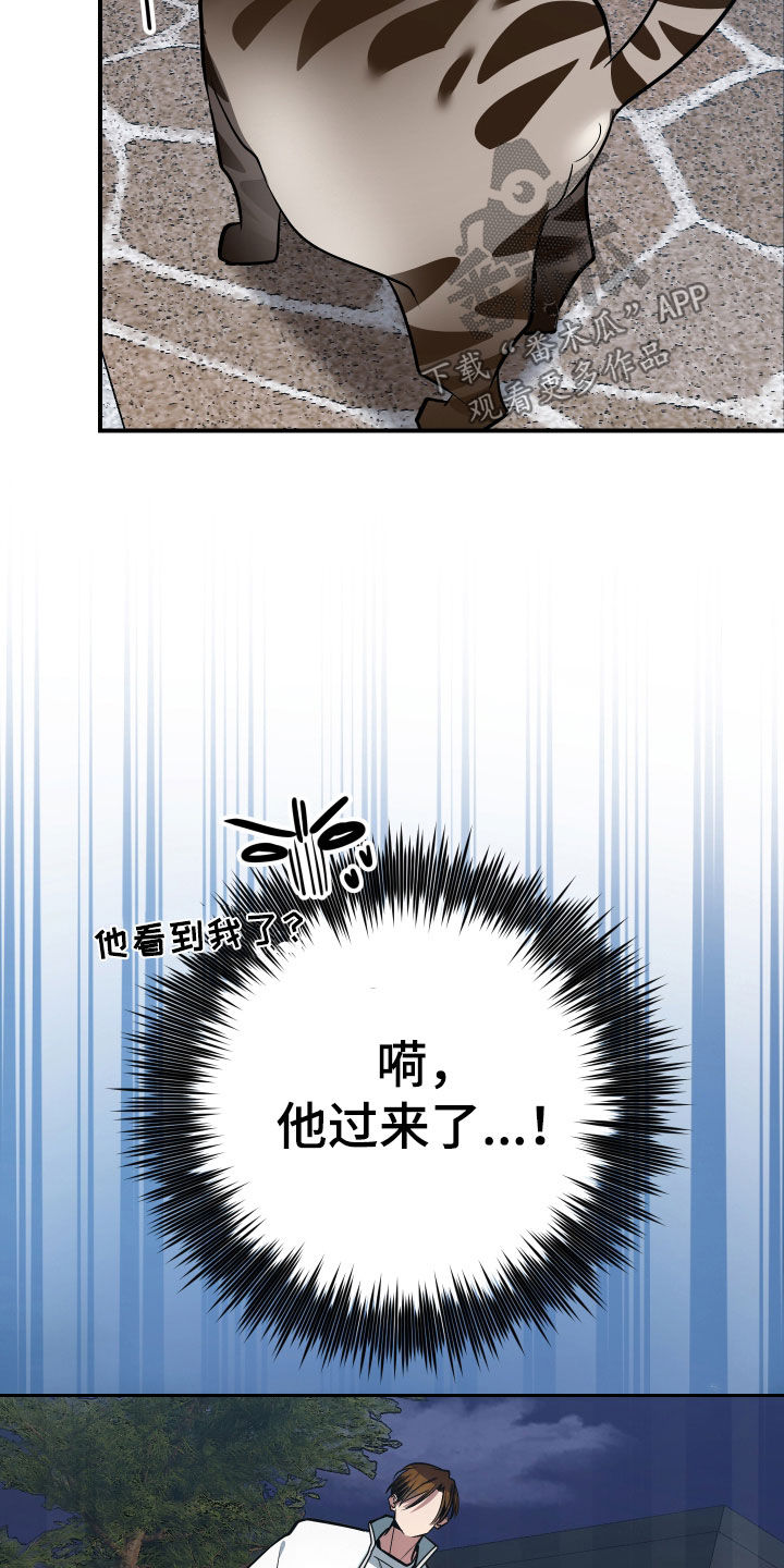 野猫的命定人类漫画,第33章：出糗4图