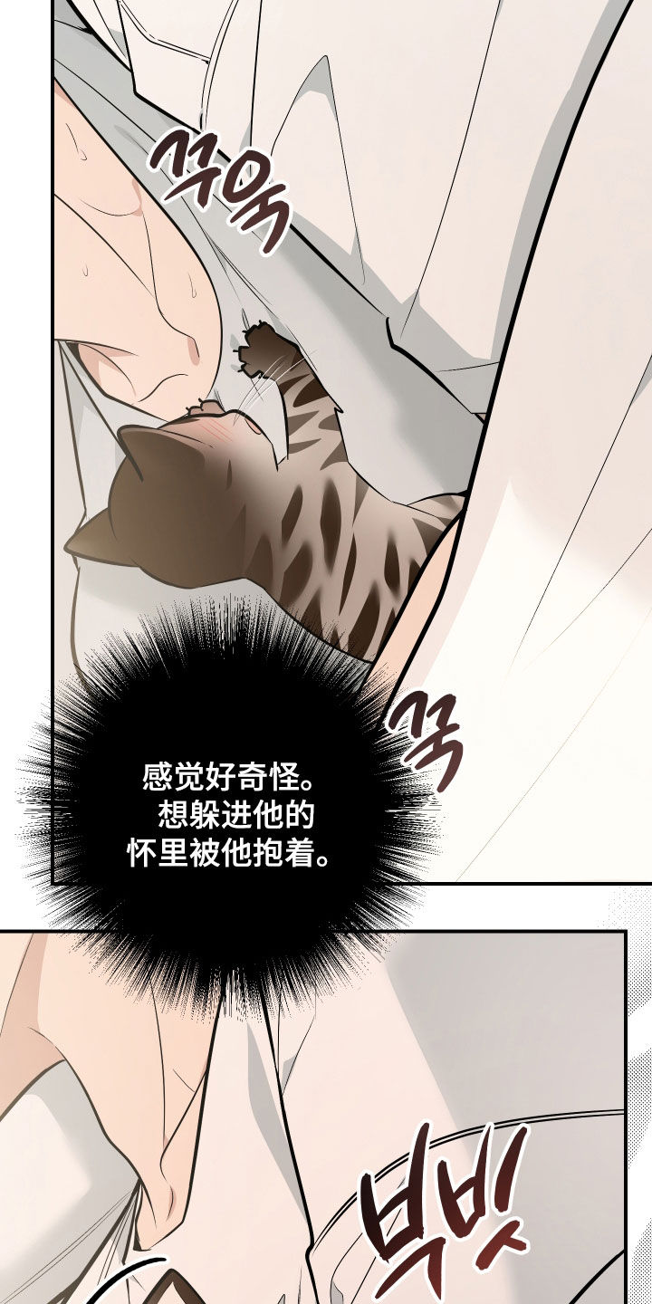 野猫的命定人类小说剧情漫画,第41章：一定是梦4图