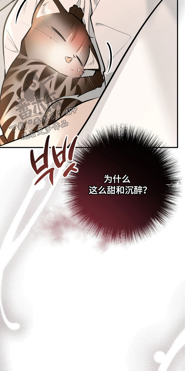 野猫的命定人类小说剧情漫画,第41章：一定是梦5图