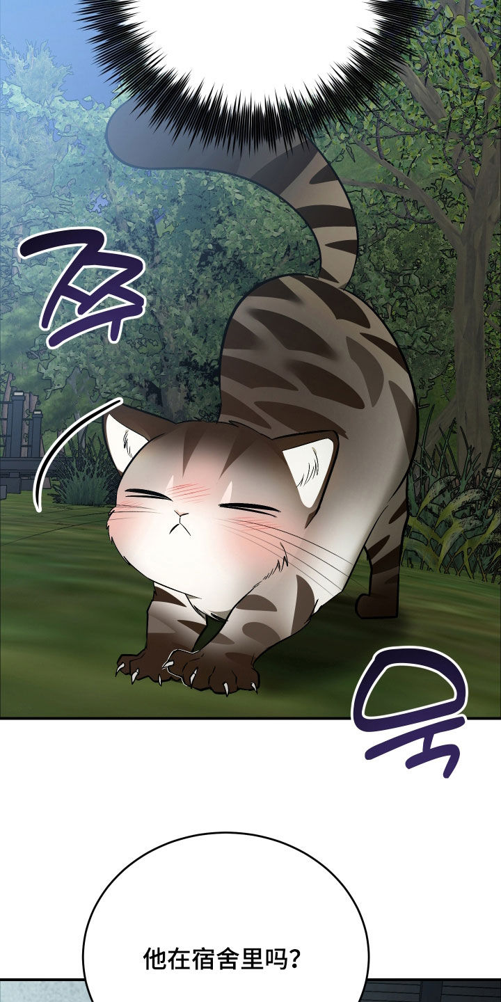 野猫的命定人类漫画,第33章：出糗2图