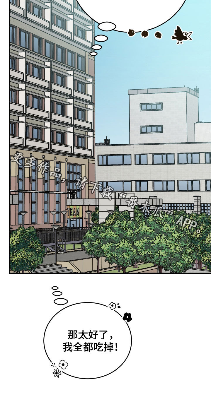 野猫的命定人类漫画实体书漫画,第37章：明争暗斗3图