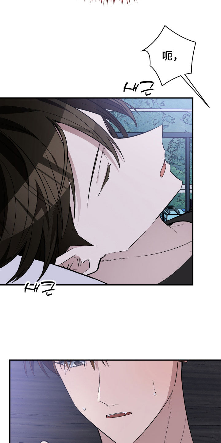 野猫的命定人类漫画原著正版漫画,第35章：一定要报仇3图