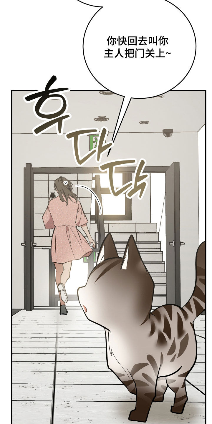 野猫的命定人类漫画,第40章：我来帮你2图