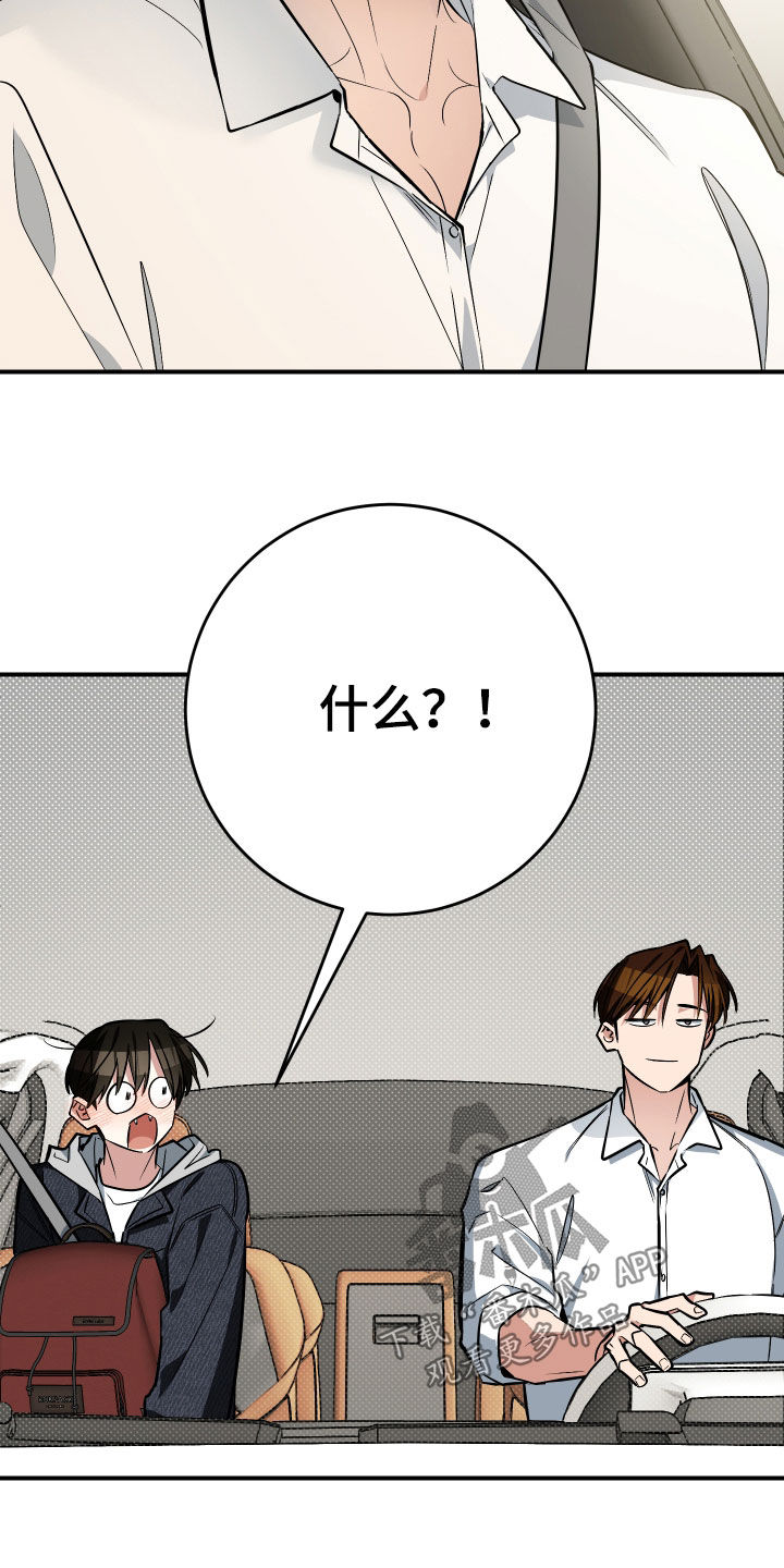 野猫的命定人类漫画,第36章：和我玩一天5图