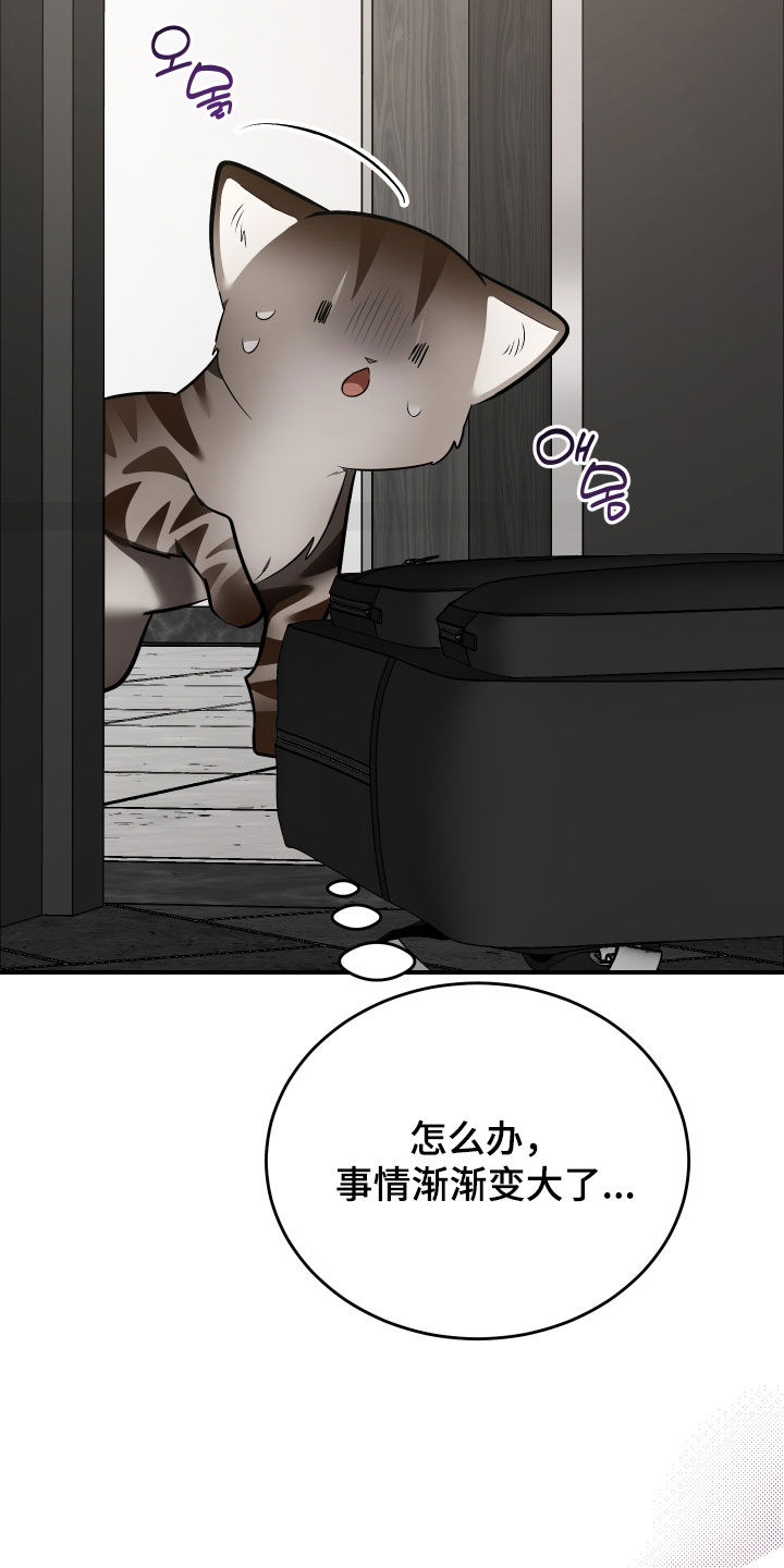 野猫的命定人类漫画,第40章：我来帮你5图