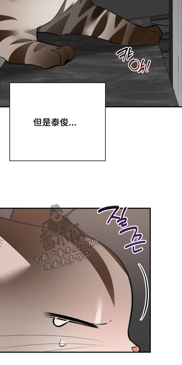 野猫的命定人类漫画,第40章：我来帮你5图