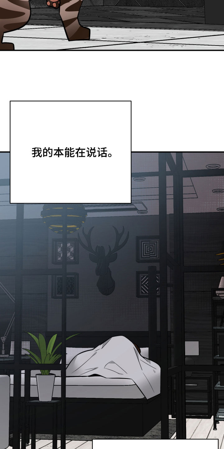 野猫的命定人类漫画,第40章：我来帮你3图