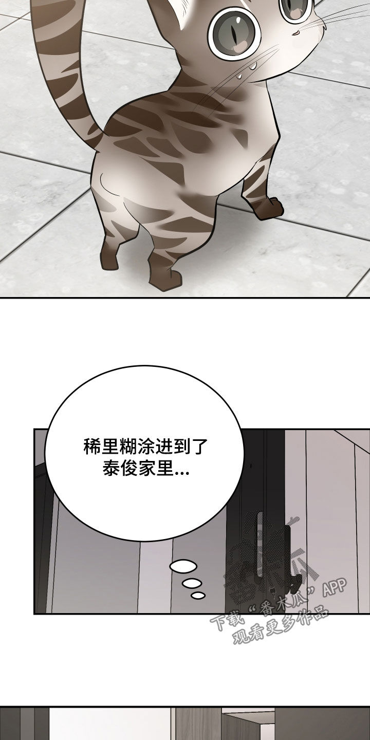 野猫的命定人类漫画,第40章：我来帮你4图