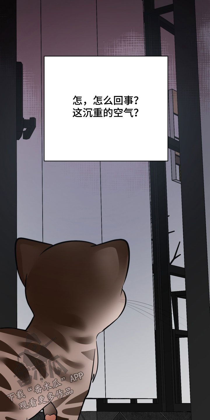 野猫的命定人类漫画,第40章：我来帮你2图