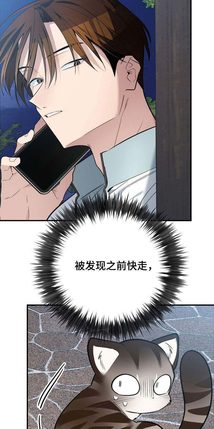 野猫的命定人类漫画,第33章：出糗3图