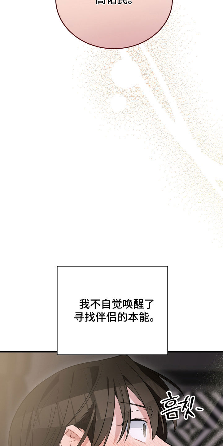 野猫的命定人类漫画,第42章：先跑再说2图