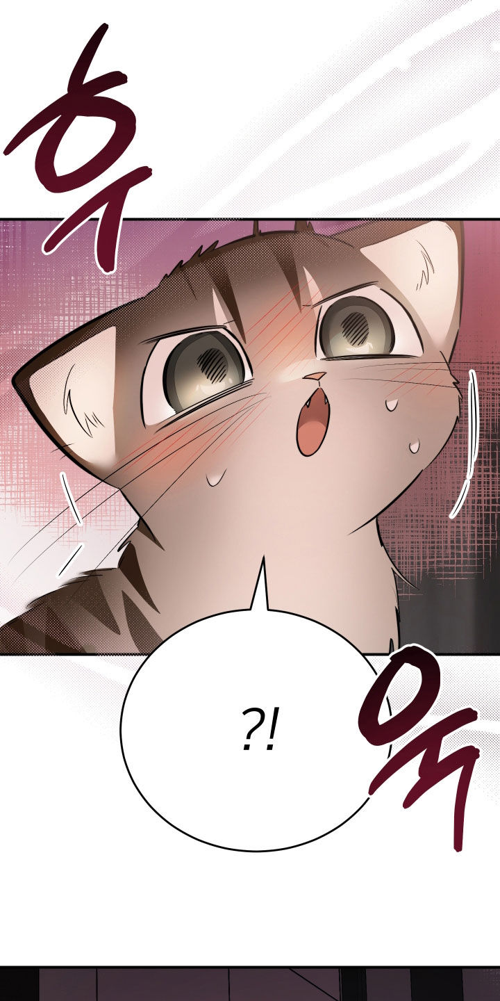 野猫的命定人类漫画,第40章：我来帮你1图