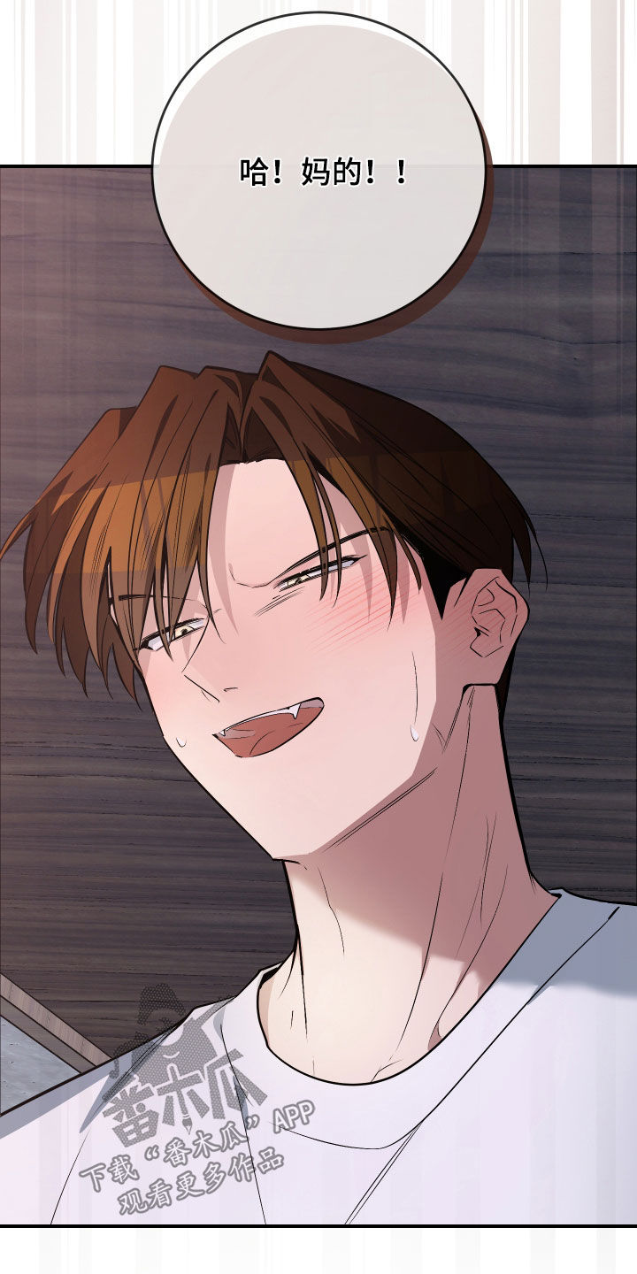 野猫的命定人类漫画,第35章：一定要报仇3图