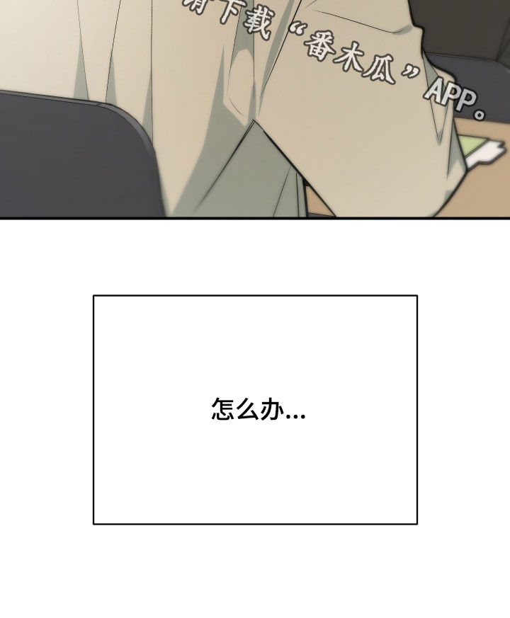 野猫的寿命和家猫的寿命漫画,第39章：担心3图