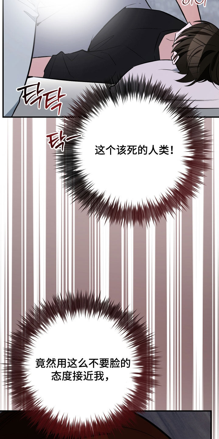 野猫的命定人类漫画,第35章：一定要报仇5图