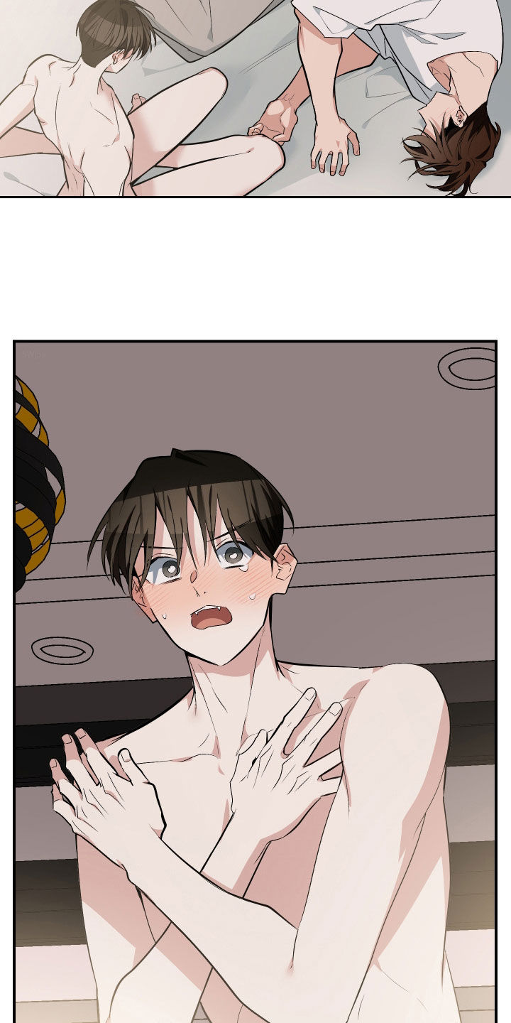 野猫的命定人类漫画,第42章：先跑再说4图