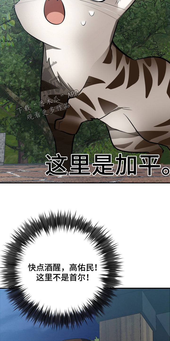 野猫的命定人类漫画,第33章：出糗1图