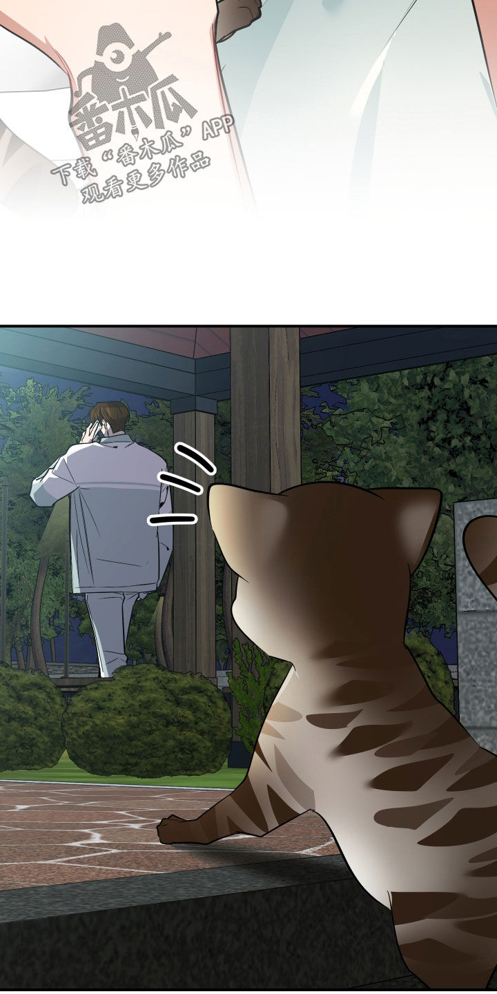 野猫的命定人类漫画,第33章：出糗1图