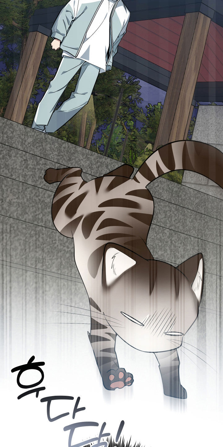 野猫的命定人类漫画,第33章：出糗5图