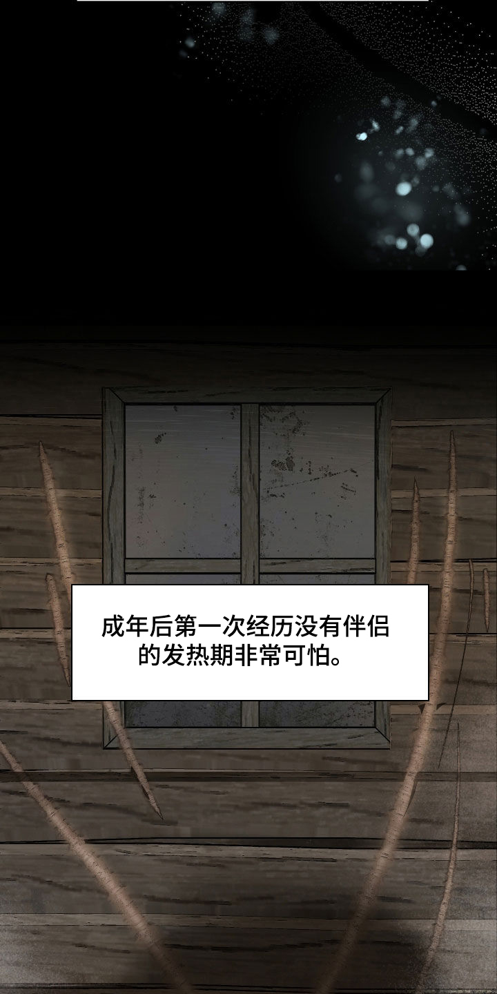 野猫的命定人类漫画,第35章：一定要报仇2图