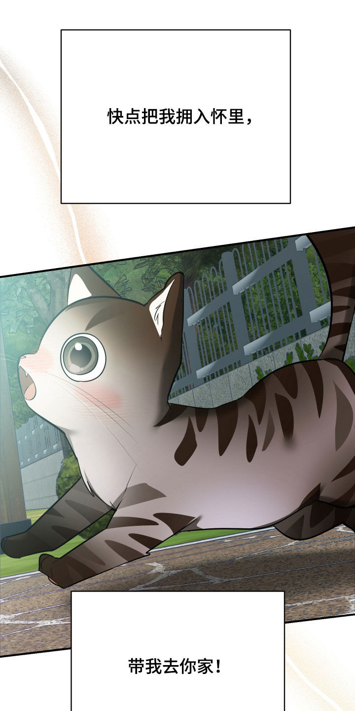 野猫的命定人类漫画,第33章：出糗4图