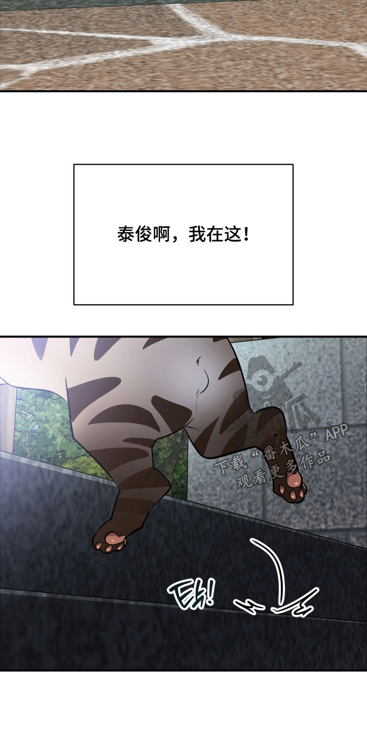 野猫的命定人类漫画,第33章：出糗3图