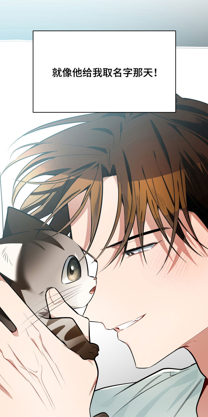 野猫的命定人类漫画,第33章：出糗5图