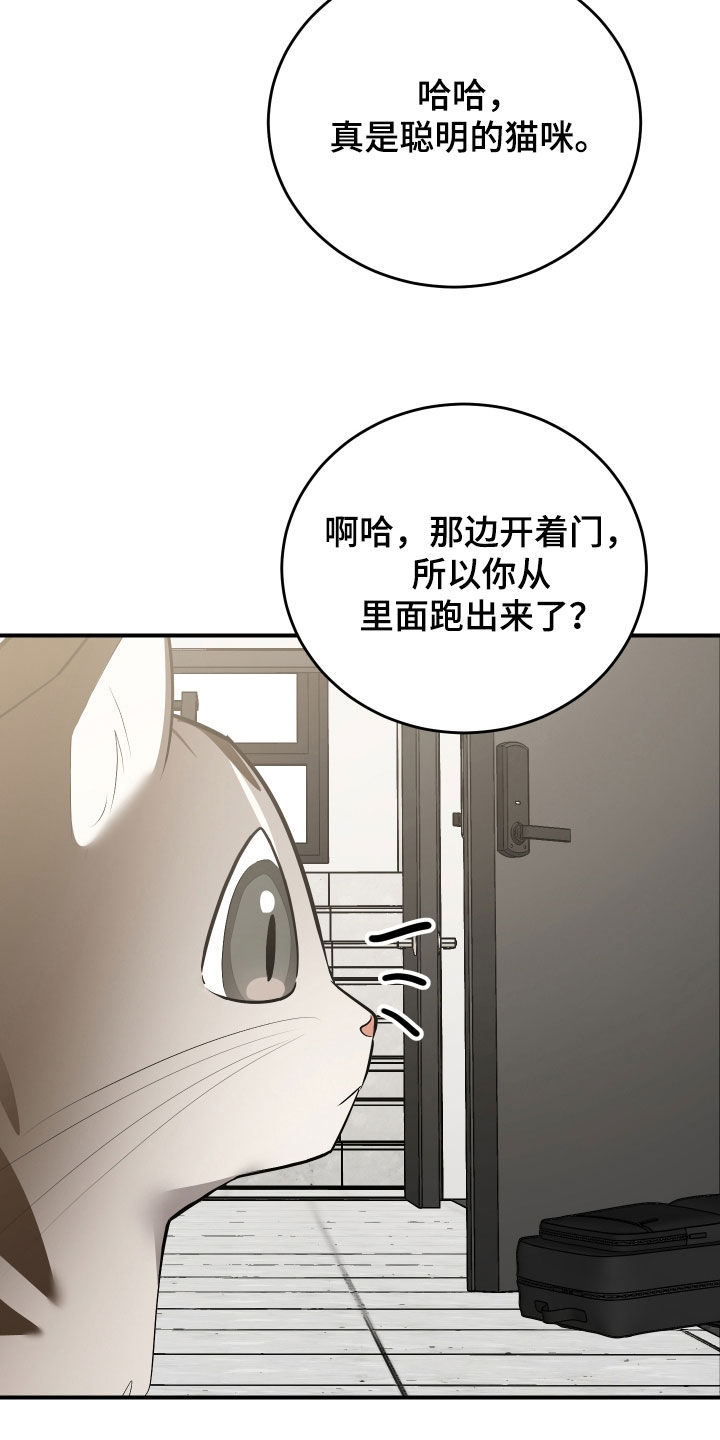 野猫的命定人类小说剧情漫画,第40章：我来帮你5图