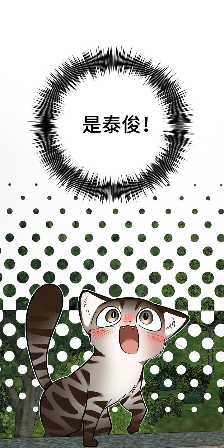 野猫的命定人类漫画,第33章：出糗2图