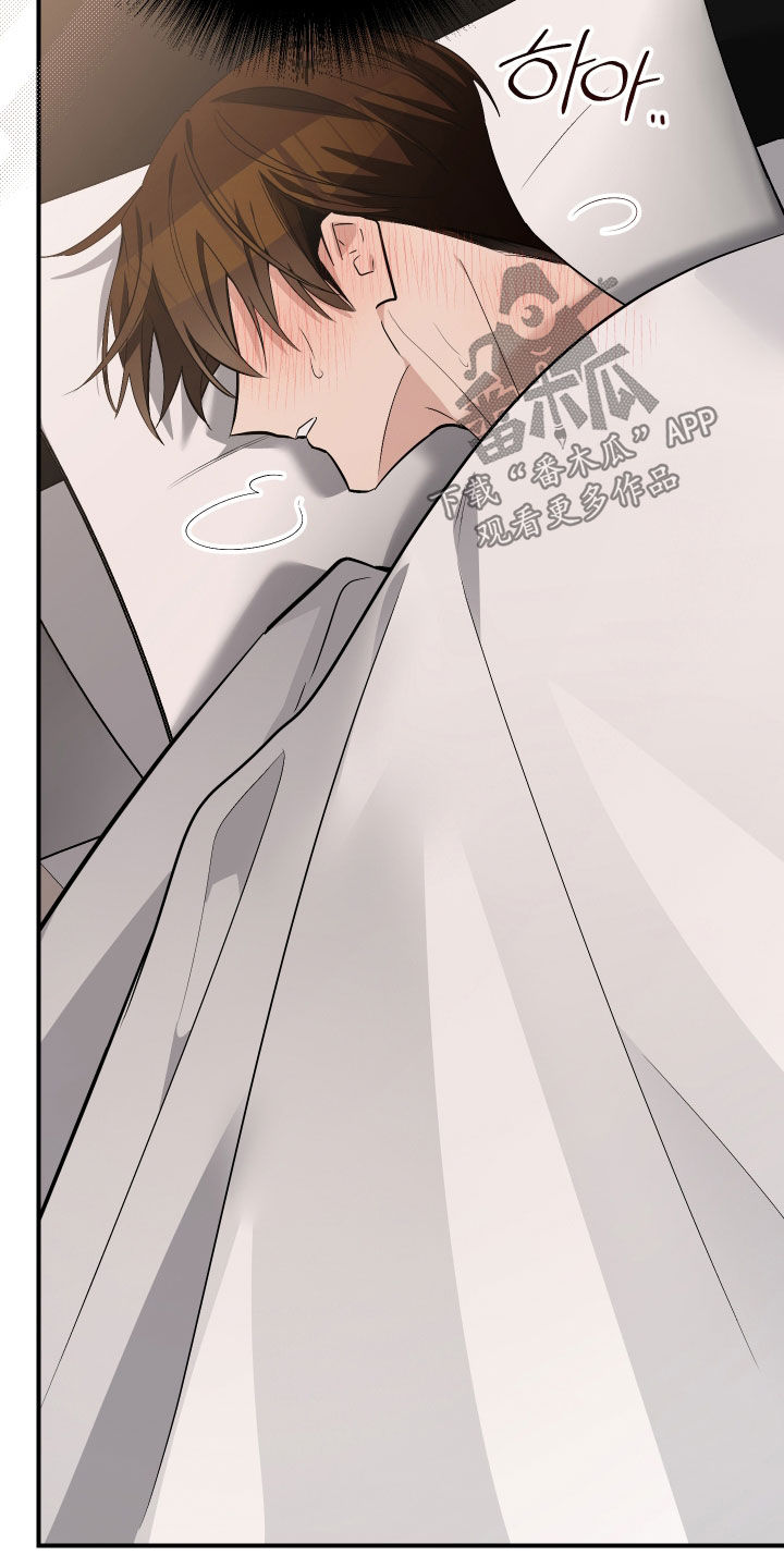 野猫的命定人类漫画,第40章：我来帮你3图