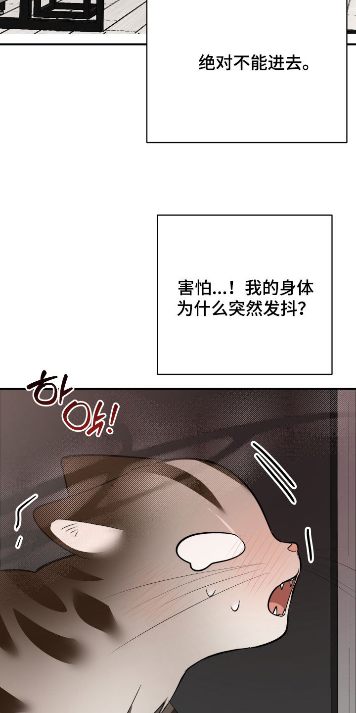 野猫的命定人类漫画,第40章：我来帮你4图