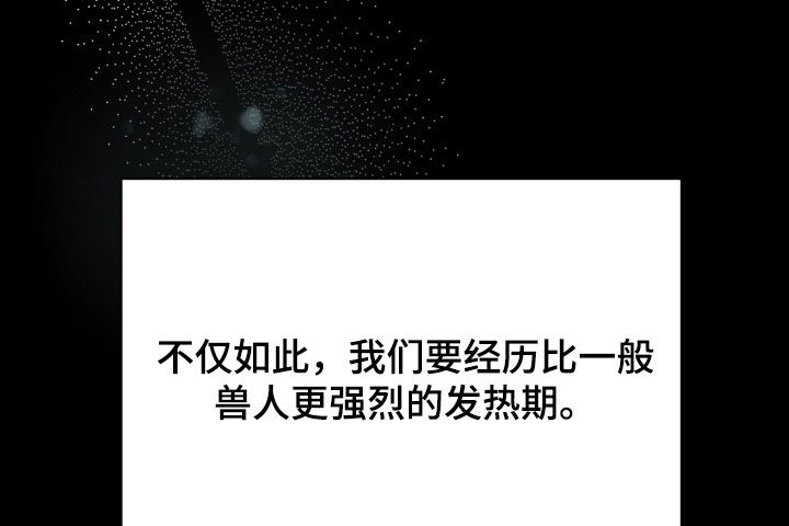 野猫的命定人类漫画,第35章：一定要报仇1图