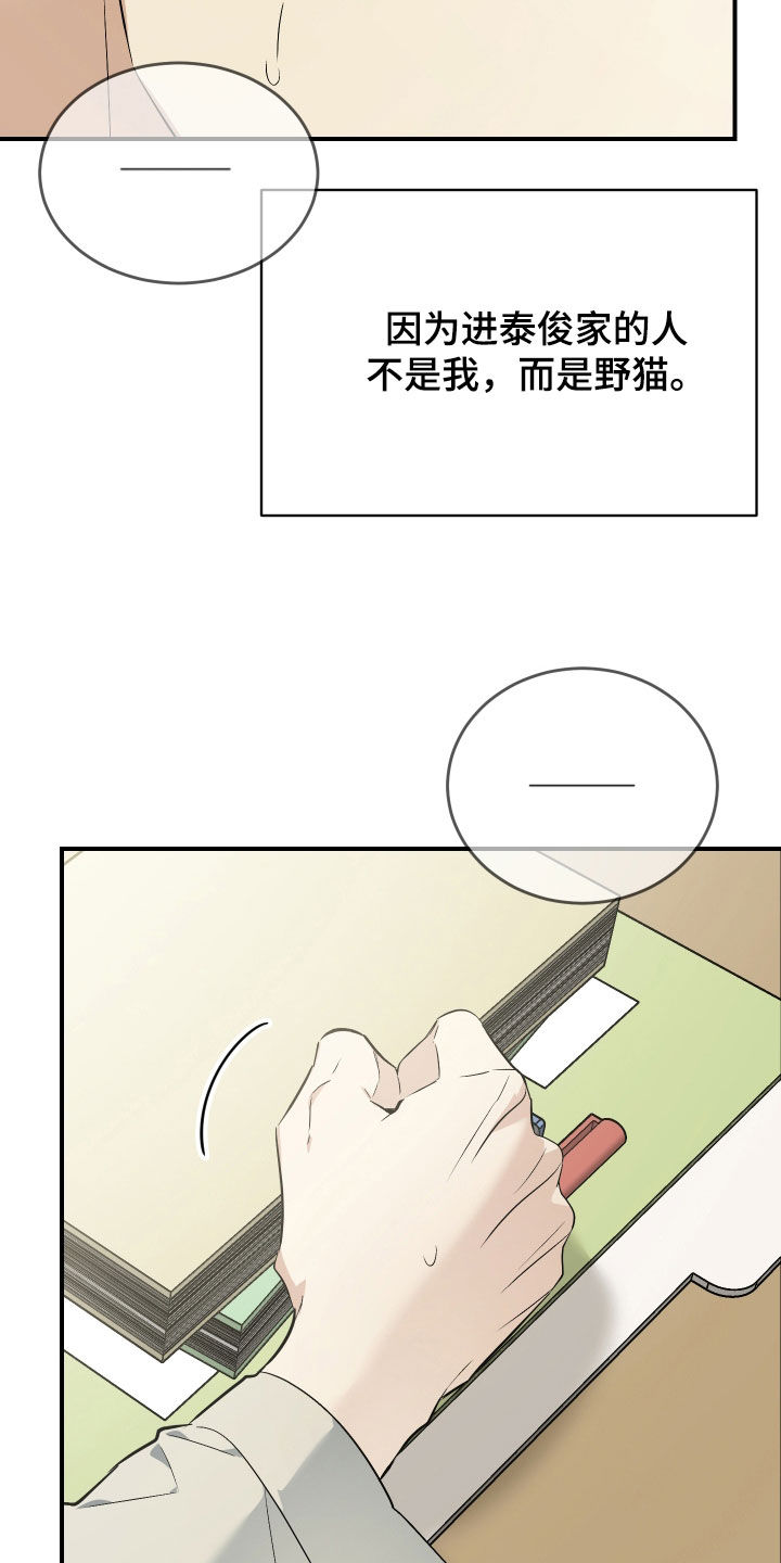 野猫的寿命和家猫的寿命漫画,第39章：担心1图