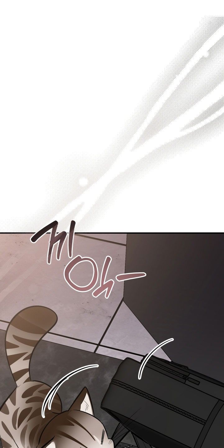 野猫的命定人类漫画,第40章：我来帮你1图