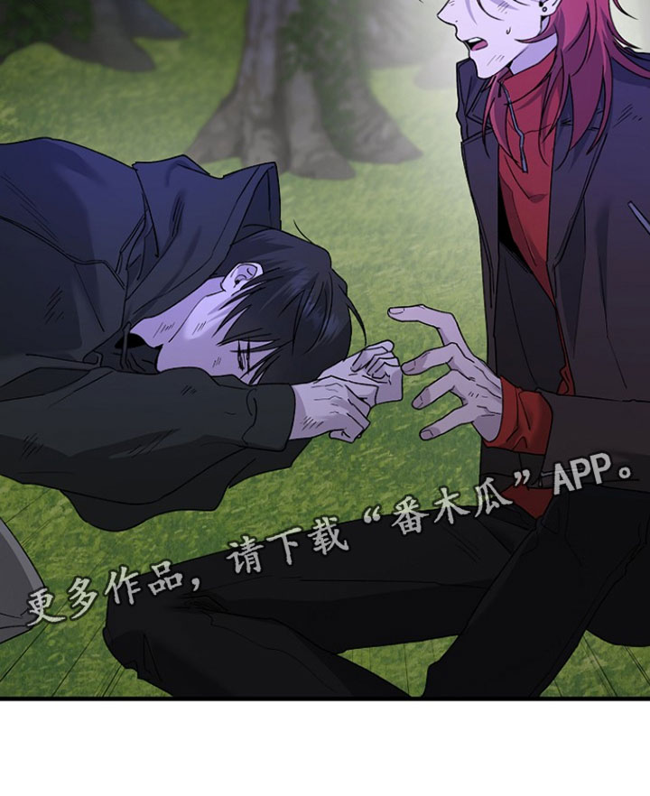 命中犯虎漫画,第37章：我想起来了2图