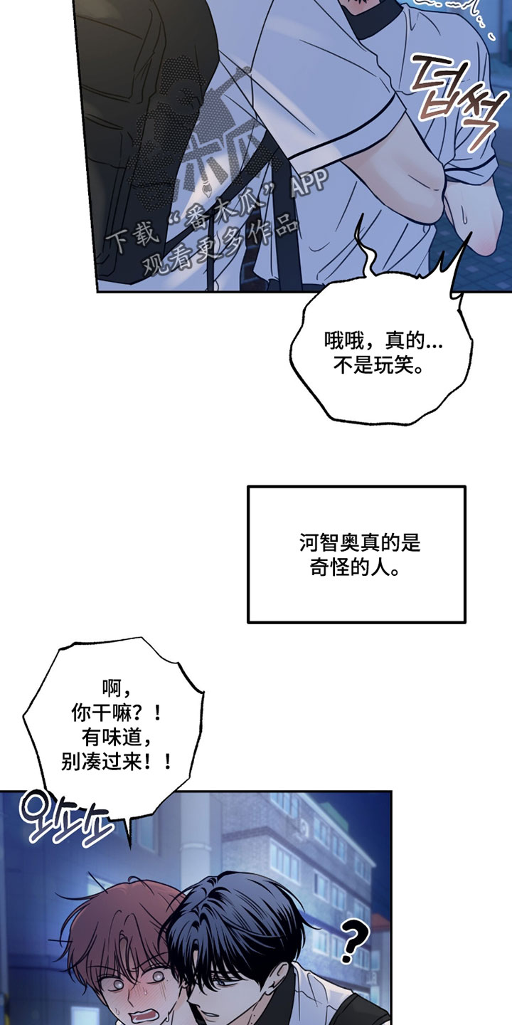 雨后的陌生人漫画,第40章：最好的选择2图