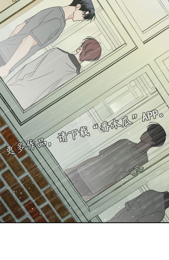 雨后的过路人漫画,第43章：令人开心的消息4图