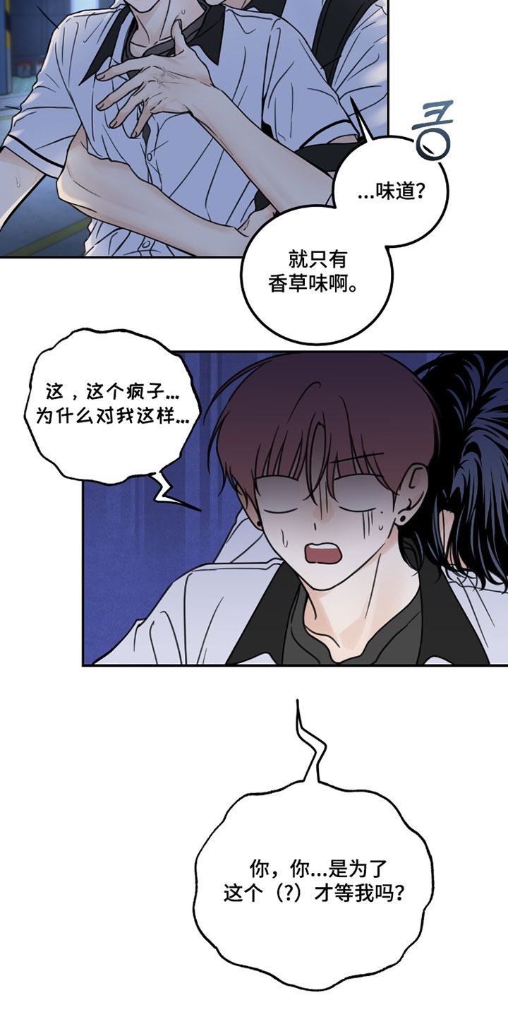 雨后的陌生人漫画,第40章：最好的选择3图