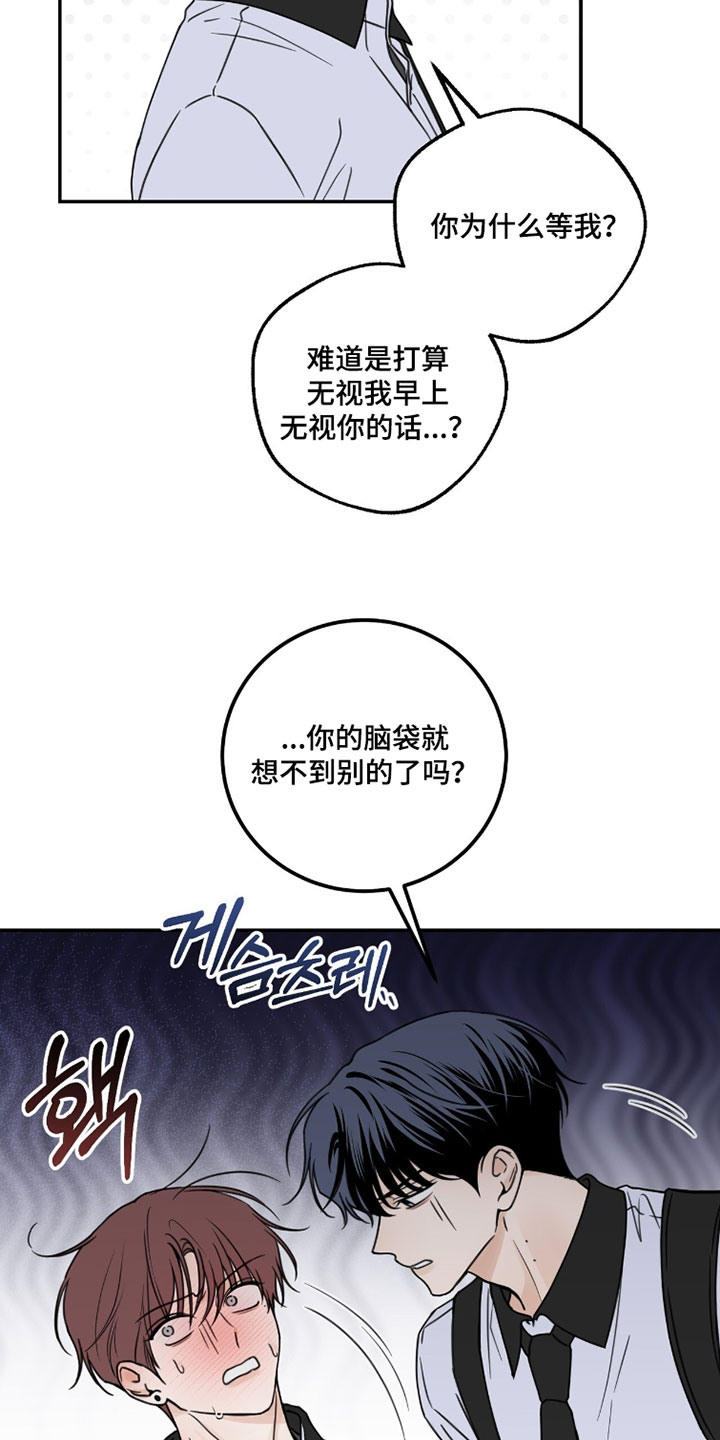 雨后的陌生人漫画,第40章：最好的选择5图